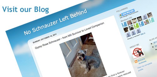 blog