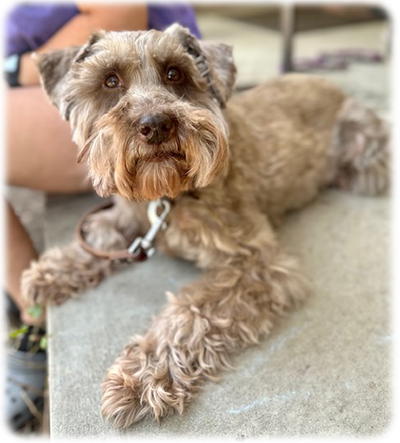 Jax
