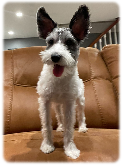 Rosie