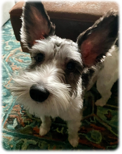 Rosie