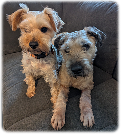 Sadie and Sophie