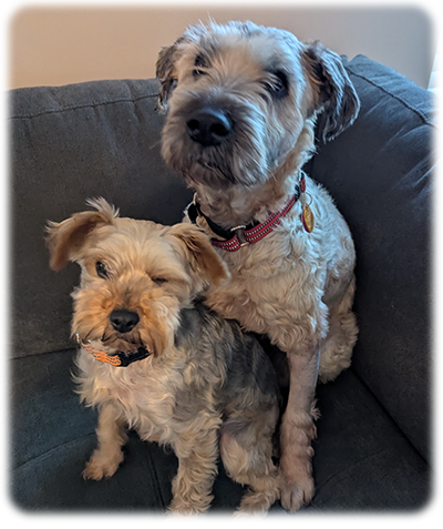 Sofia and Sadie