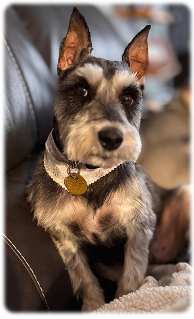 Ralphie