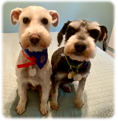 Roo and Raya