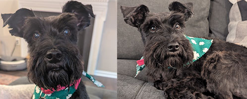 Chloe