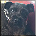 Baxter