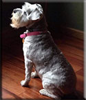 Abby