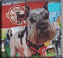 Bucky the Wonder Dog
