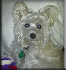 Casper