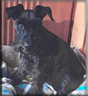 Molly Mae