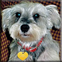 Maddie